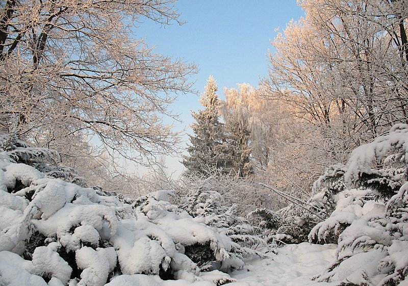 Зима вернулась