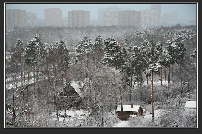 Хмурый рассвет