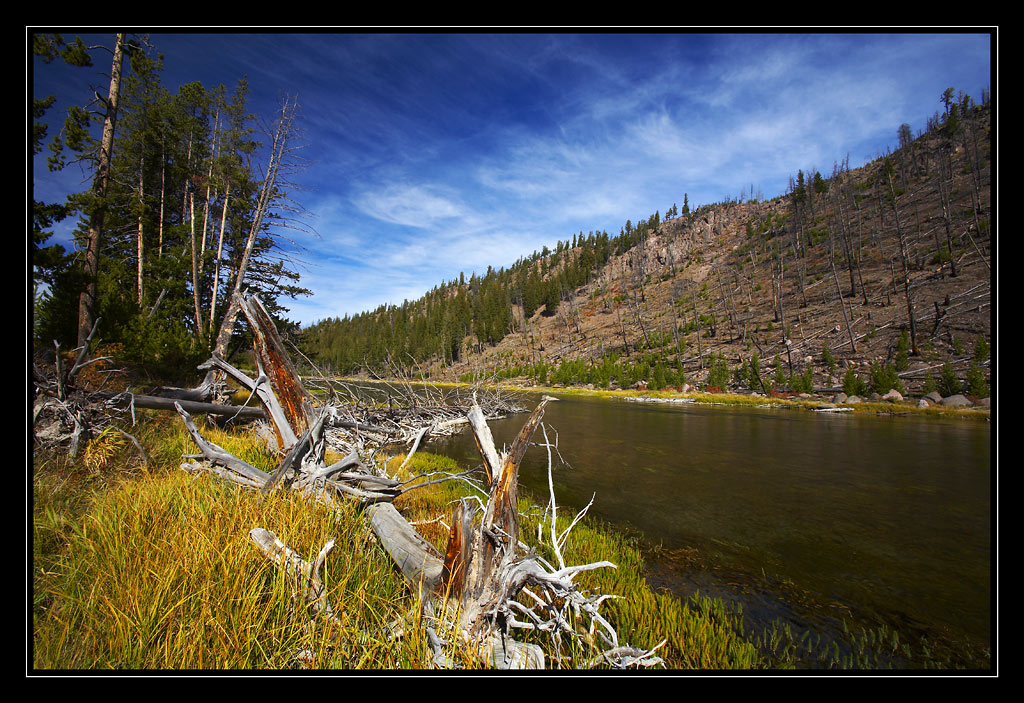 Yellowstone river. 