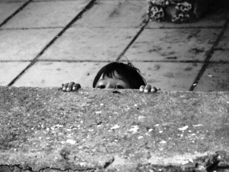 когда деревья были большими