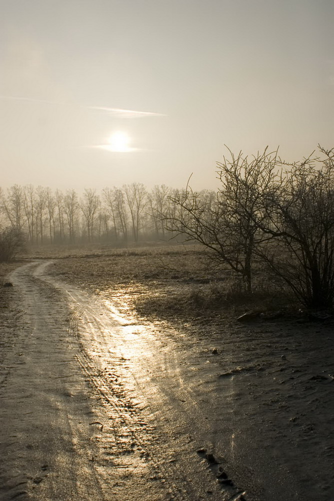 сумерки,фото нр.1