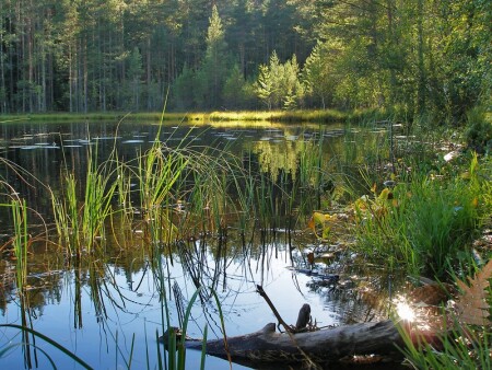 Спокойствие