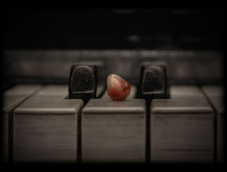 Fruit & Jazz 1