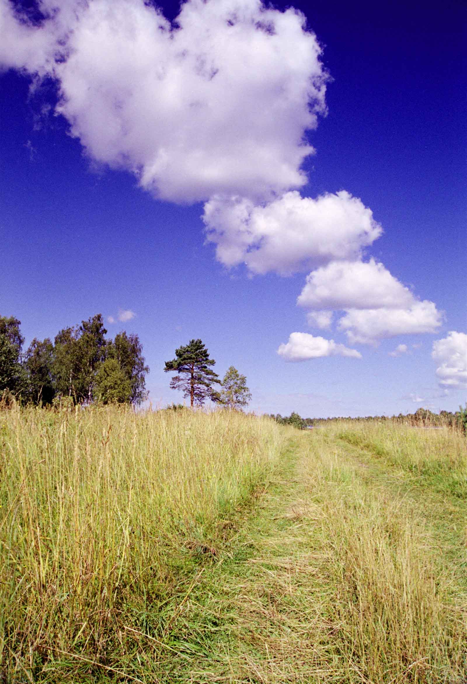 По дороге с облаками