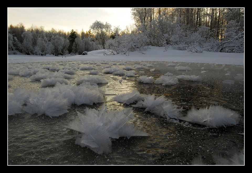 Мороз на Рождество