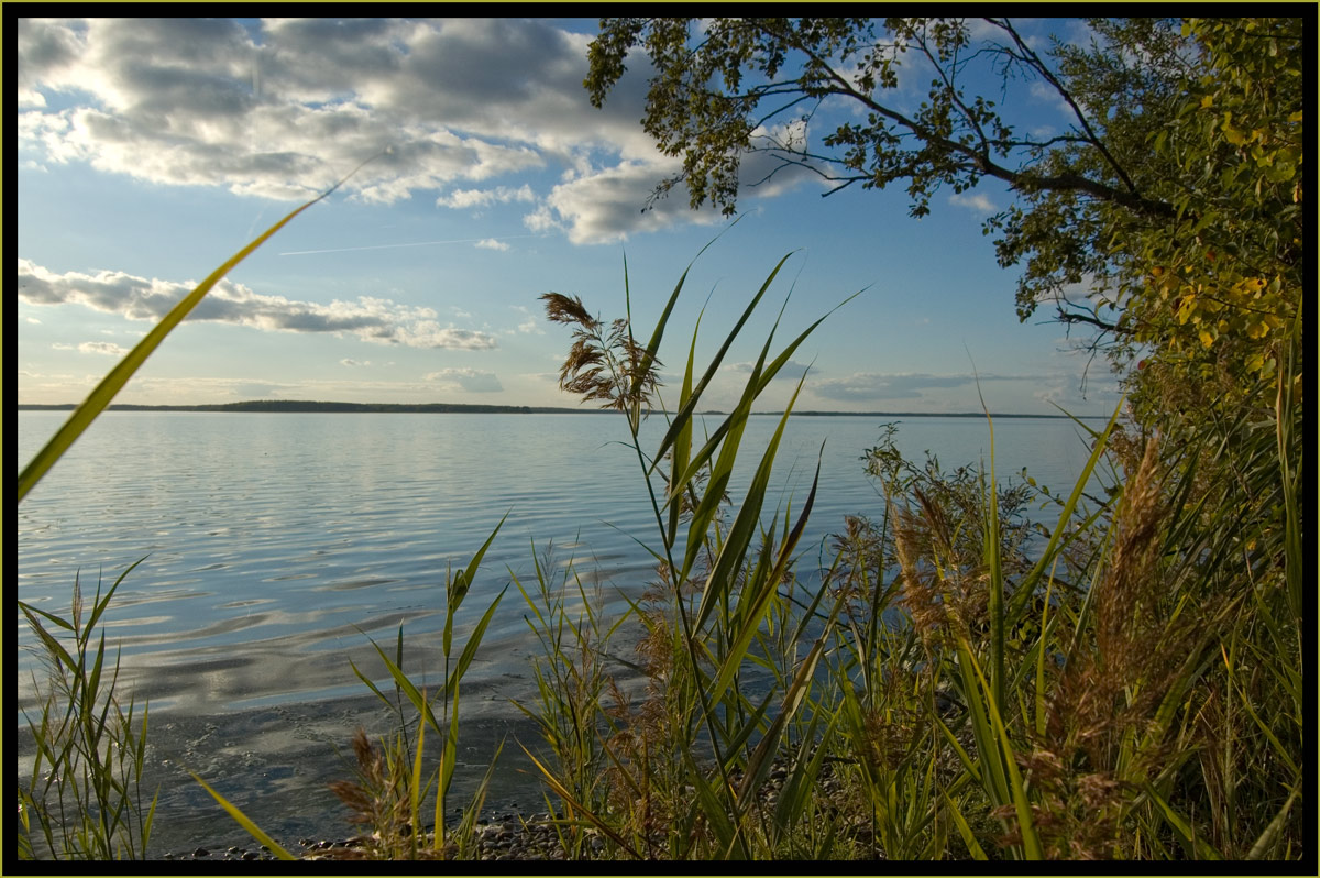 &quot;Костромское море&quot;