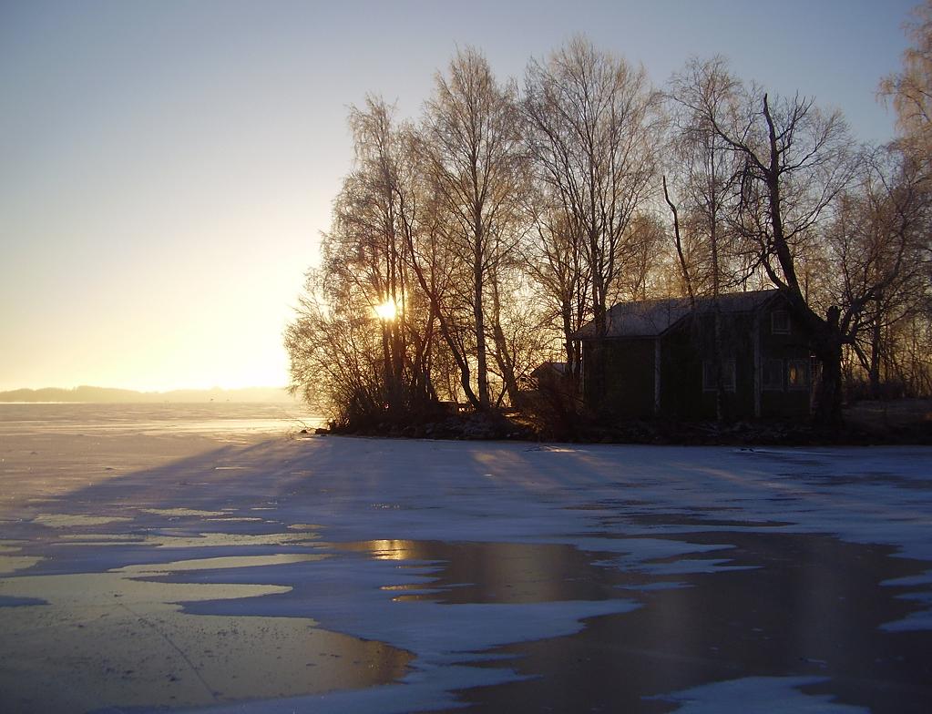 январское солнце