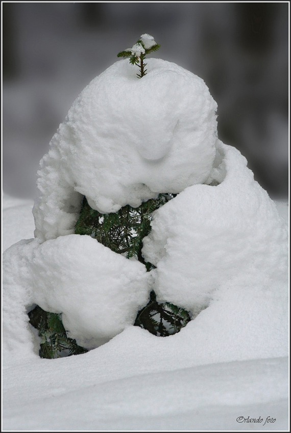 Winter tricks. Snow man