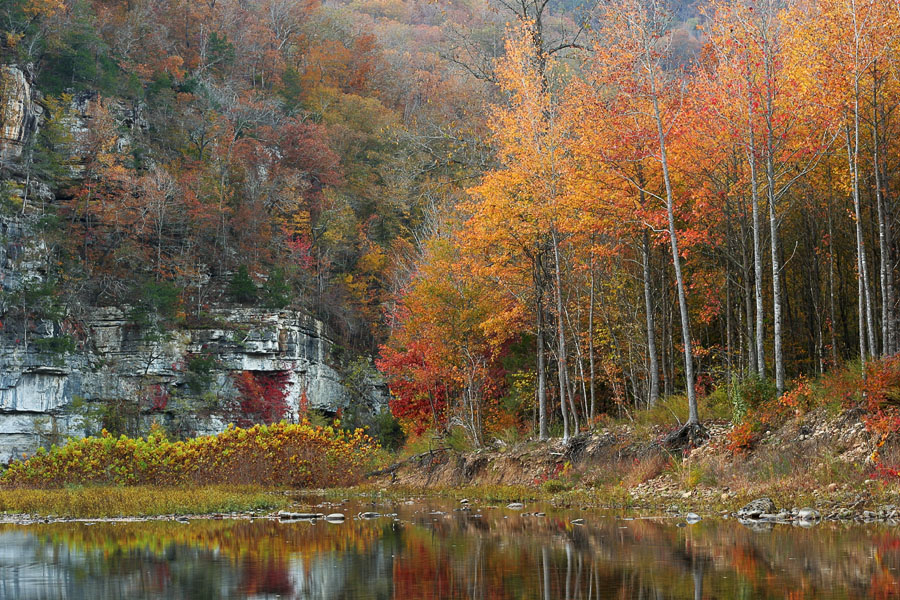 Roark Bluff