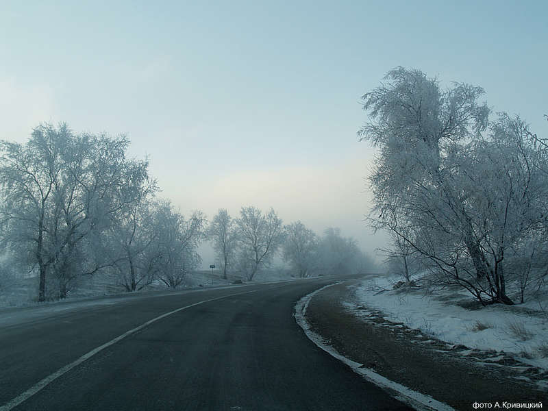 Киев-Крым-Тарханкут-Коктебель. Январь 2008. Фото А.Кривицкий