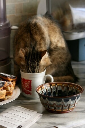 Умираю от жажды