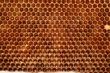 Пчелиные соты