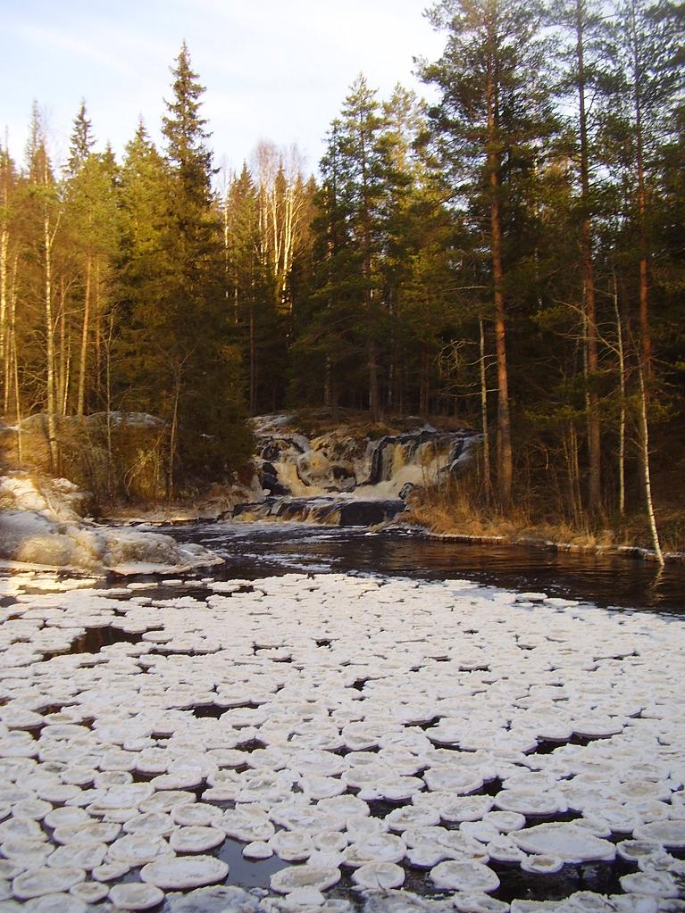 ледяные блины реки Tохмы