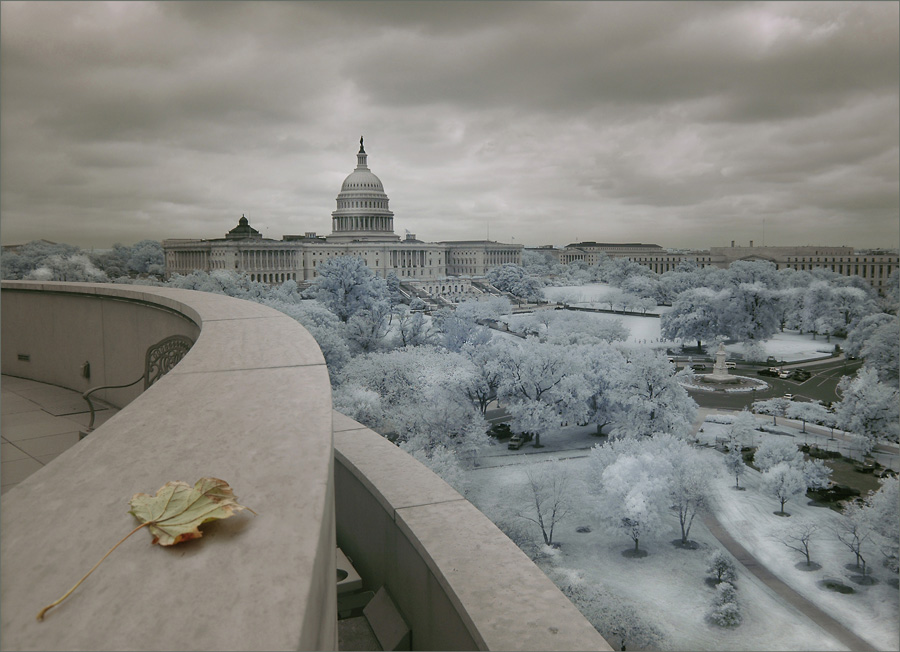 US Capitol