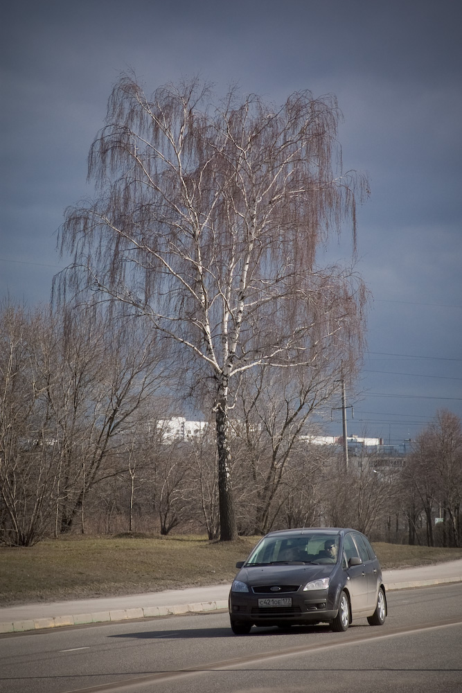 Весной перед грозой