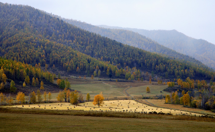 ОСЕНЬ (Алтай)