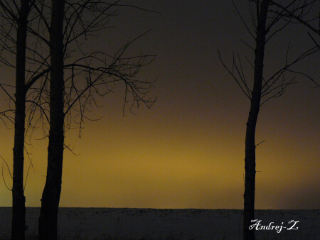 Вид из города