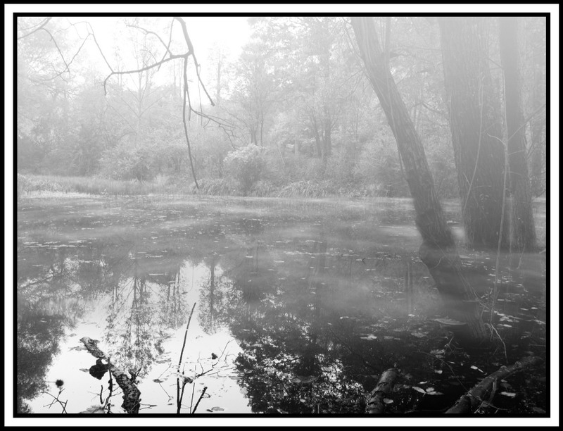 Misty Lake