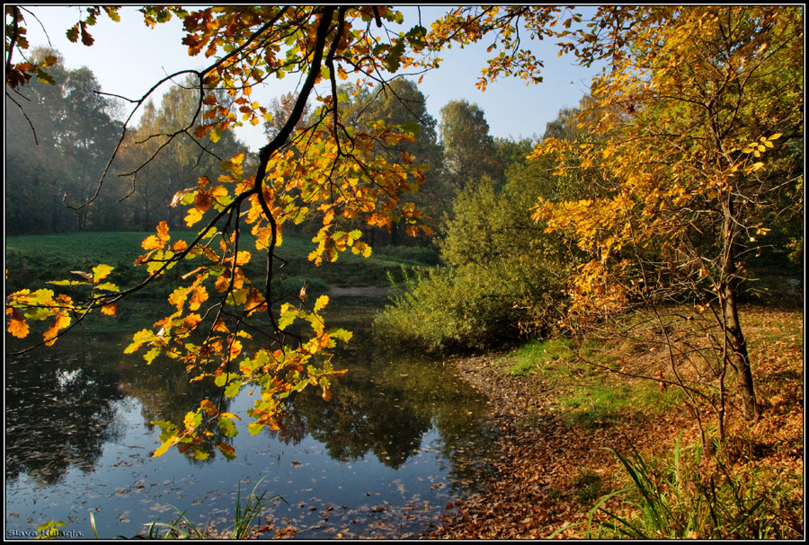 golden autumn