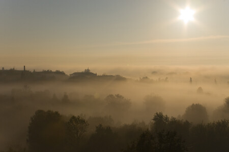 Осеннее утро