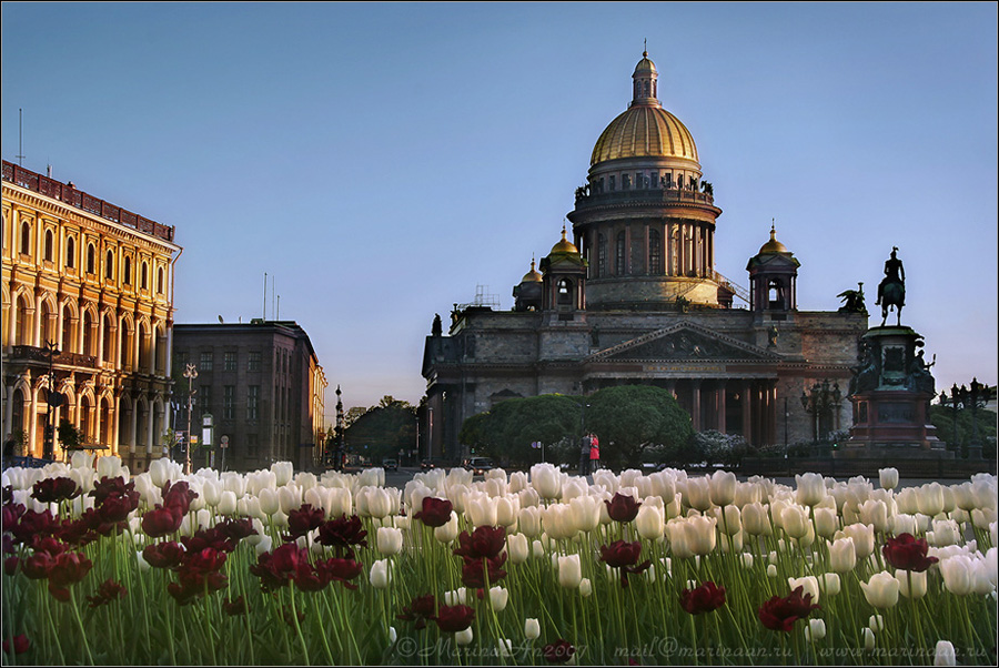 Исаакий в тюльпанах = MarinaAn Клуб Foto.ru Поиск картинок