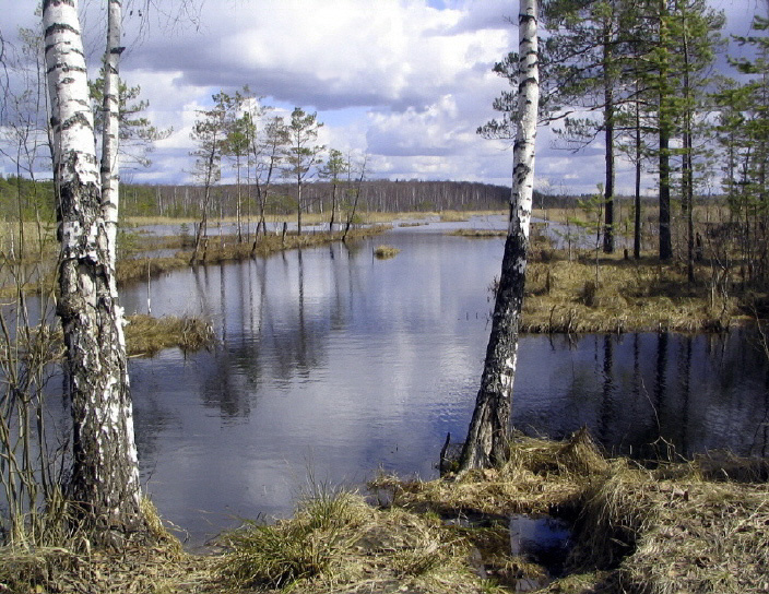 В конце апреля