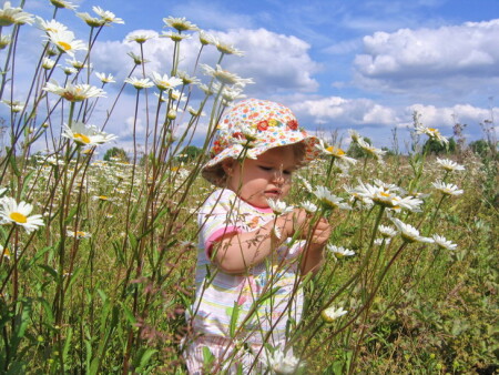 Когда ромашки были большими...