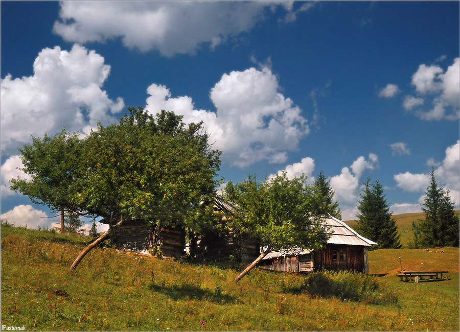 Домик в деревне