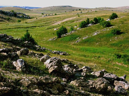 камни,горы и трава