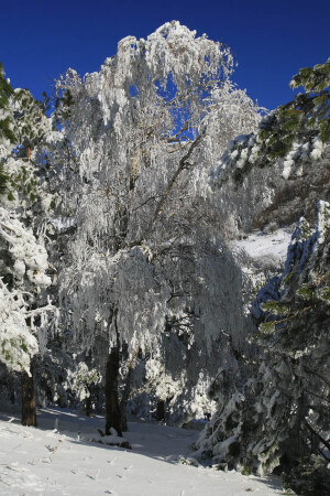 &amp;quot;Иная&amp;quot;