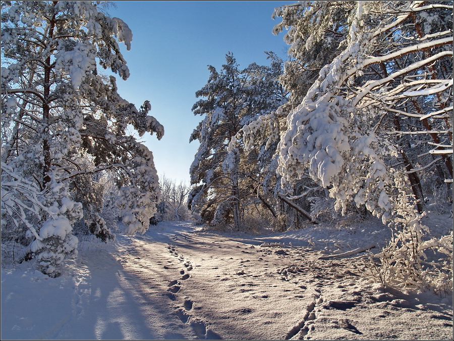 снежно