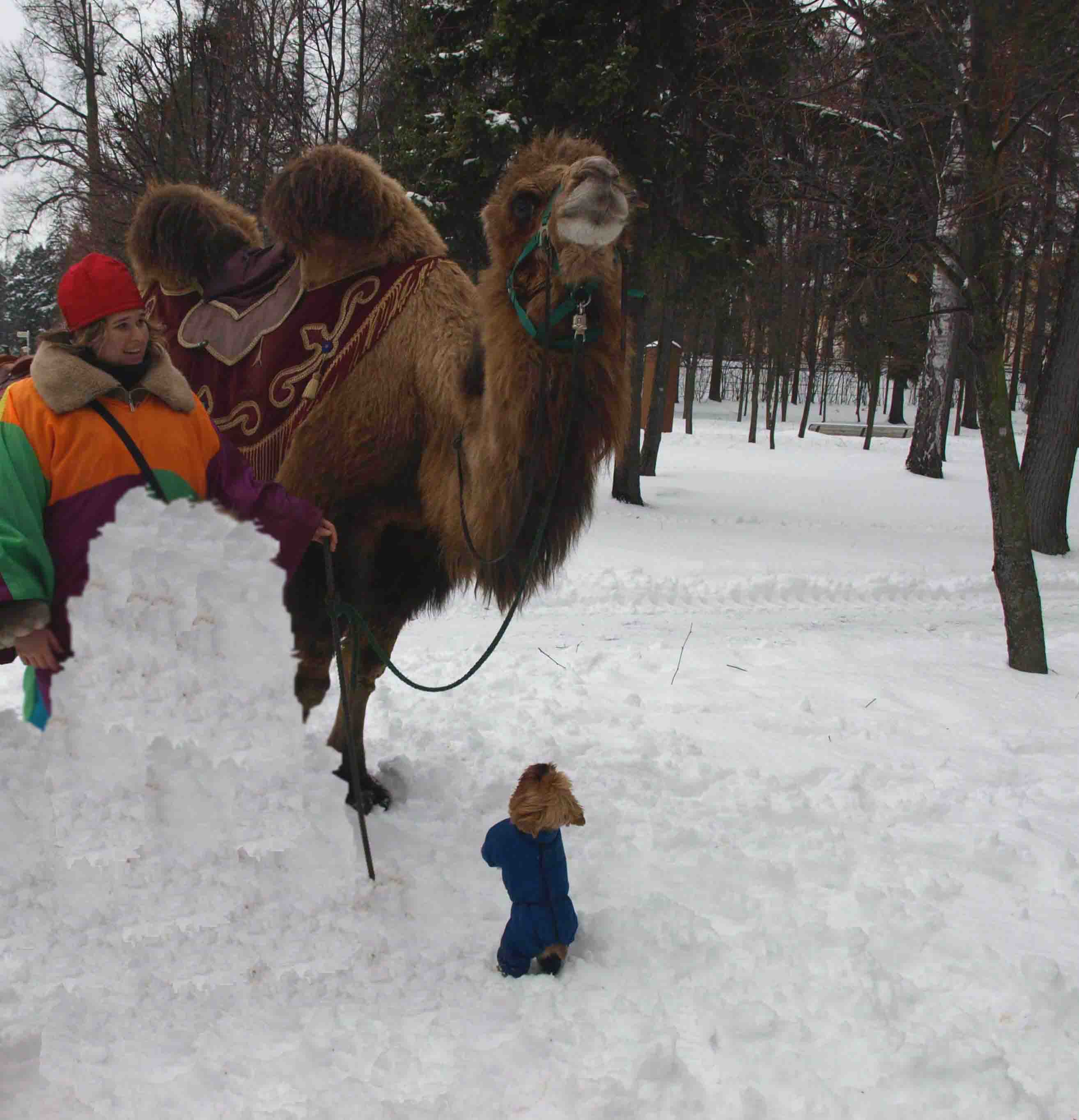 Эй! Ну, обрати на меня внимание!!!