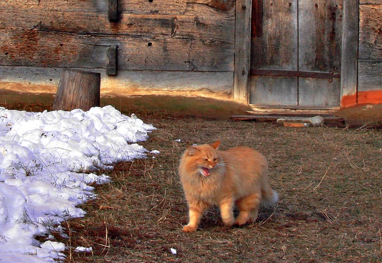 весна скоро