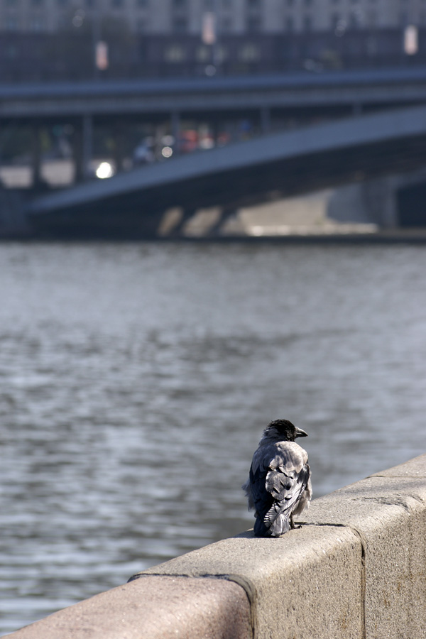 Коренная москвичка