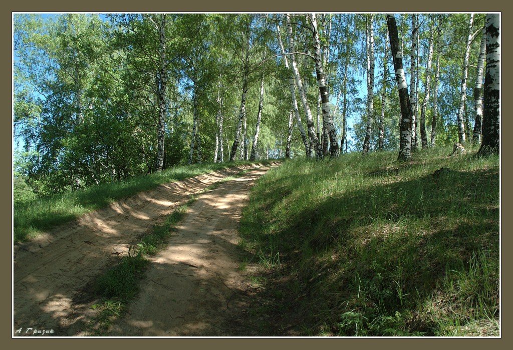 Ничего кроме ощущения лета