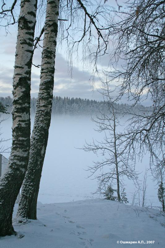 Туман на озере Лахнаярви, Финляндия