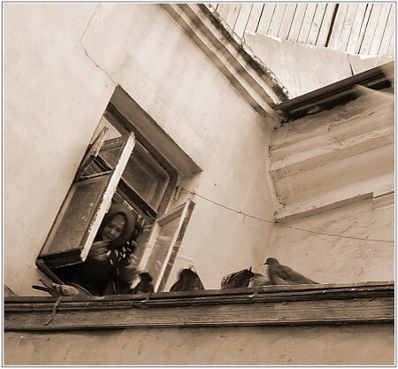 старые друзья