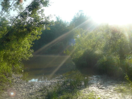 С добрым утром!