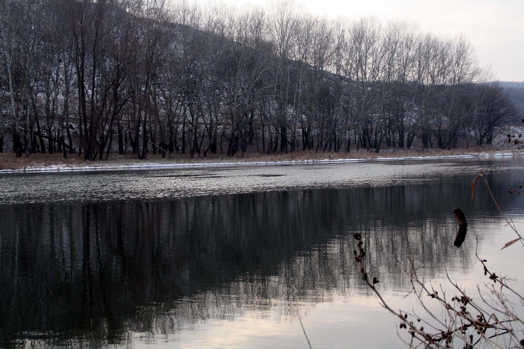 Тихая вода