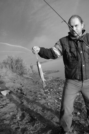 Мишкина радость