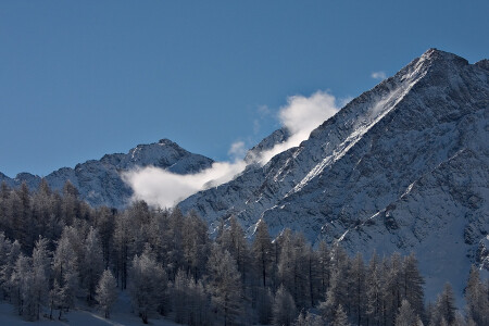 Улитки на склоне