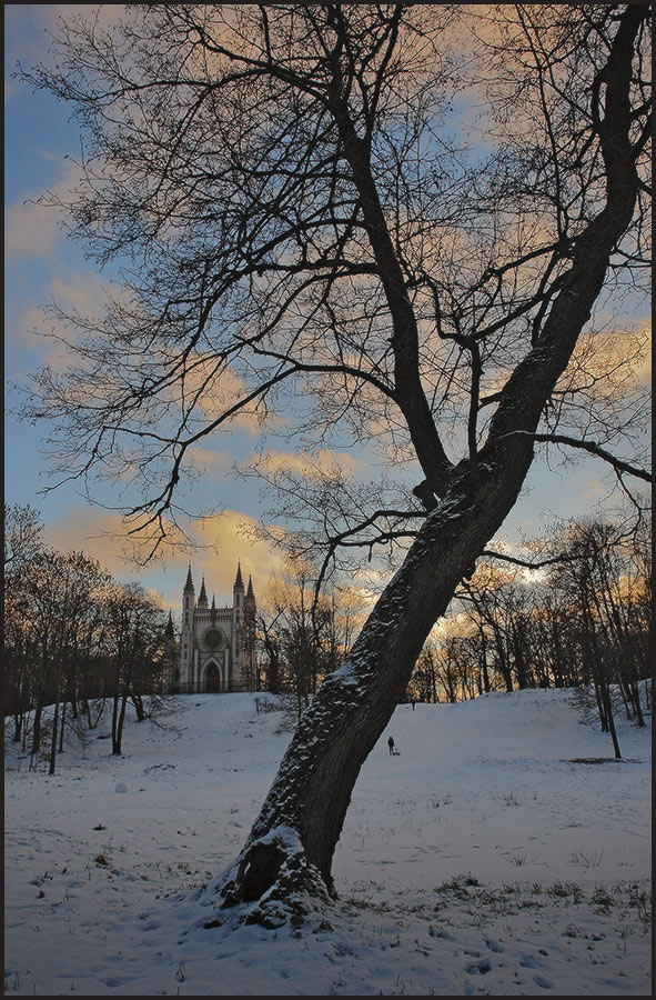 Петергоф.Парк Александрия. 