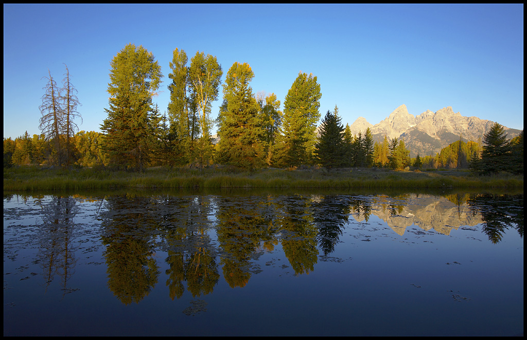 Утро в Grand Teton.