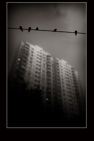 ..дом в котором я живу...