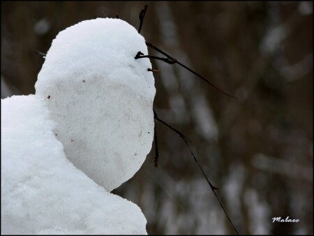 Снежный человек