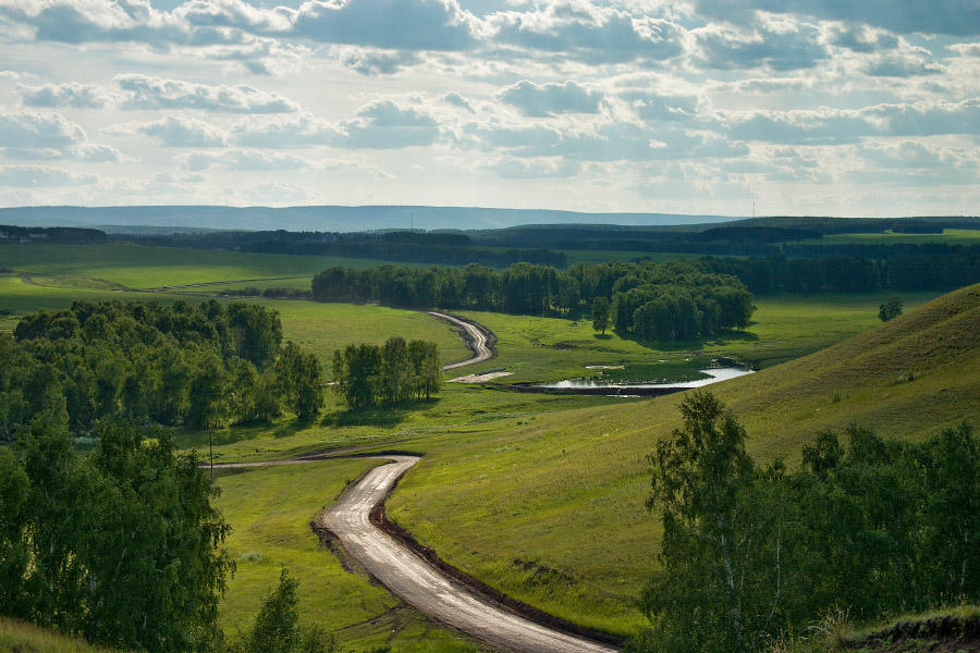 Летний день