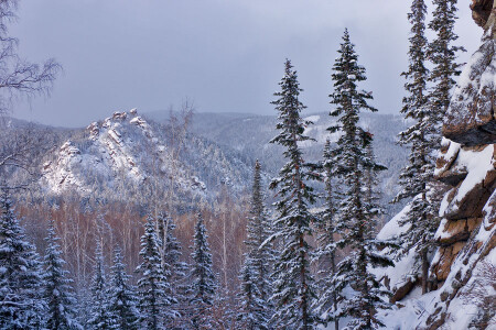 Цыпа и Жаба