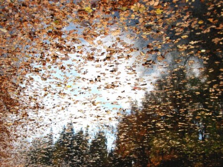 осень золотая