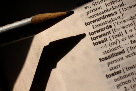 Тень знает лучше