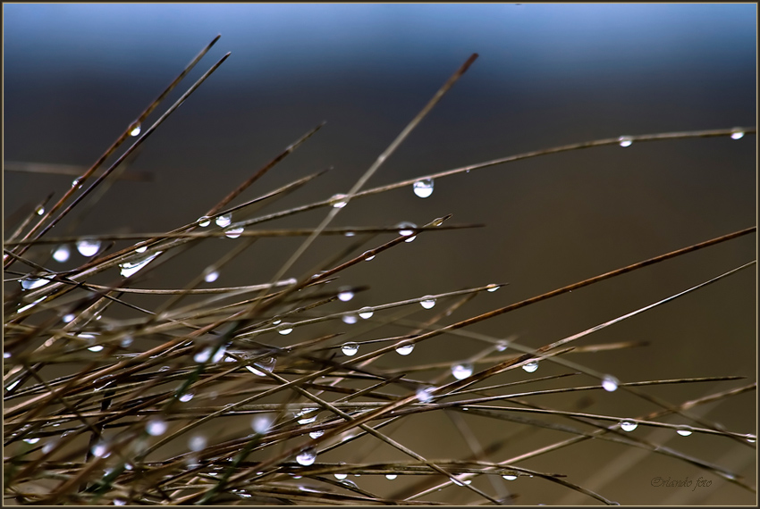 Winter rain